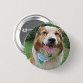 Grenzkollisionsmischung Button (Vorne & Hinten)