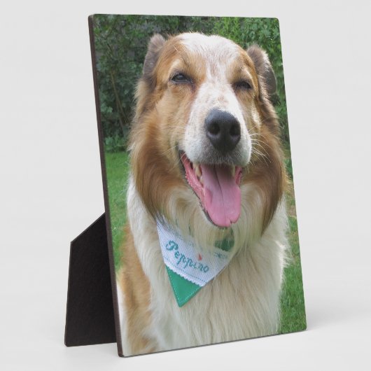 Grenzkollisionsmischung Fotoplatte (Seite)