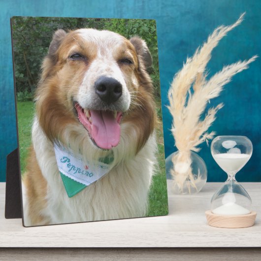 Grenzkollisionsmischung Fotoplatte (Seite)