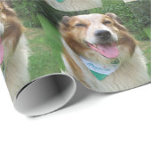 Grenzkollisionsmischung Geschenkpapier (Rolleneckpunkt)