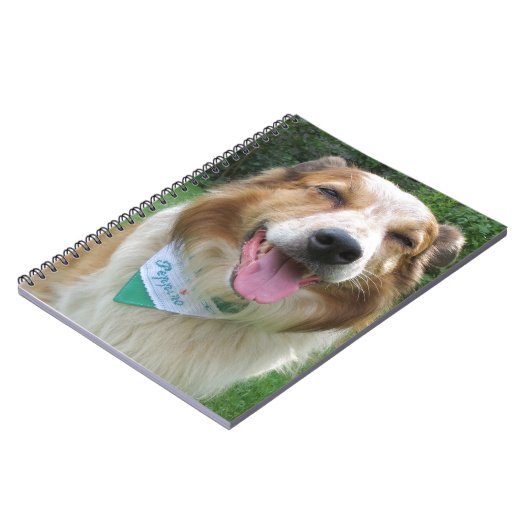 Grenzkollisionsmischung Notizblock (Linke Seite)