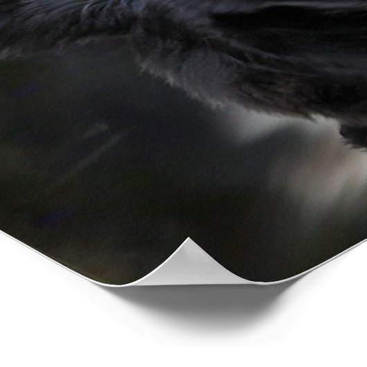 Grenzkollisionsschild Poster (Ecke)