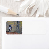 Grenzkolonie im Wald (Insitu)