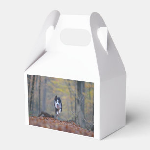 Grenzkolonie im Wald Geschenkschachtel