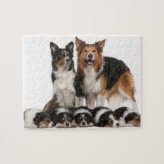 Grenzkolonie Puzzle (Horizontal)