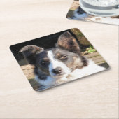 GRENZKÜHLHUND RECHTECKIGER PAPPUNTERSETZER (angewinkelt)