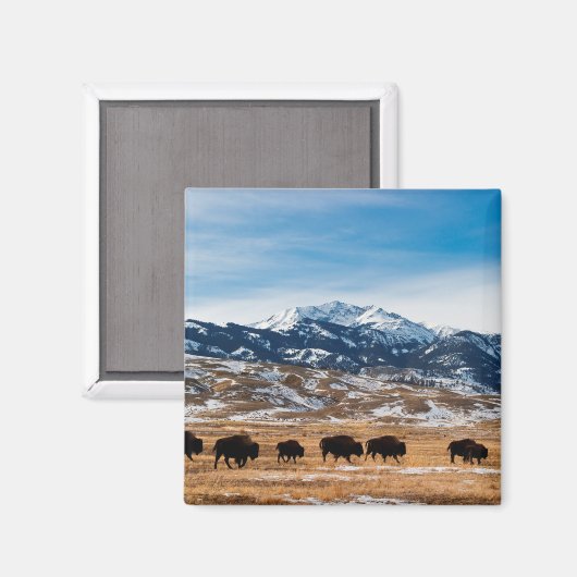 Grenzmigration Magnet (Vorderseite/Rückseite)