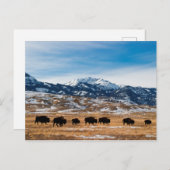 Grenzmigration Postkarte (Vorne/Hinten)