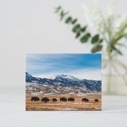 Grenzmigration Postkarte (Stehend Vorderseite)