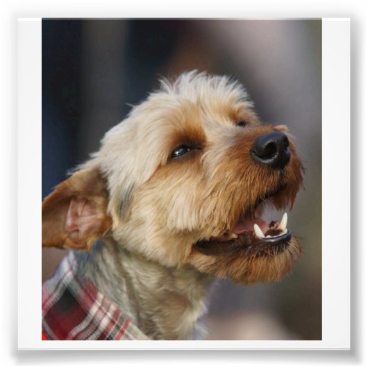 Grenzquerschnitt Fotodruck (Vorne)