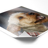 Grenzquerschnitt Fotodruck (Ecke)