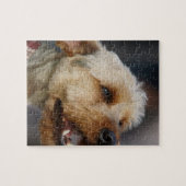 Grenzquerschnitt Puzzle (Horizontal)