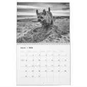 GrenzTerrier-Hund, Medium, weißer Kalender (Mär 2026)