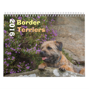 GrenzTerrier-Hund, Medium, weißer Kalender