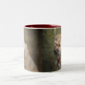 Grenzterrier-Tasse Zweifarbige Tasse (Mittel)