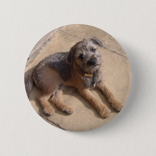GrenzTerrier-Welpe Button (Vorderseite)