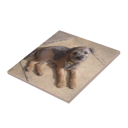 GrenzTerrier-Welpe Fliese (Seite)