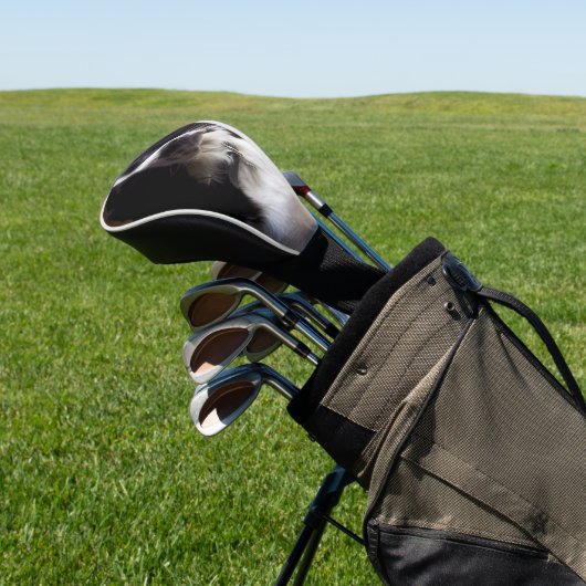 Grenzübergangsolle p2 golf headcover (In SItu)