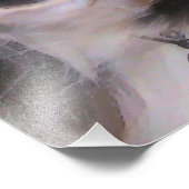 GRENZÜBERSCHREITENDE COLLIES FOTODRUCK (Ecke)