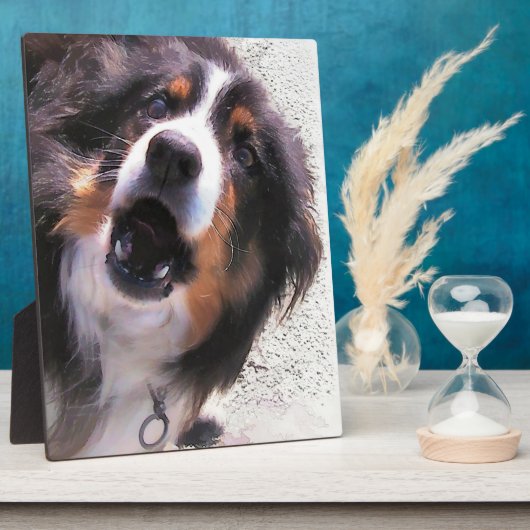 GRENZÜBERSCHREITENDE COLLIES FOTOPLATTE (Seite)