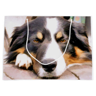 GRENZÜBERSCHREITENDE COLLIES GROßE GESCHENKTÜTE