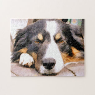 GRENZÜBERSCHREITENDE COLLIES PUZZLE