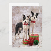 Grenzüberschreitende Colliese Feiertagskarte (Vorne/Hinten)