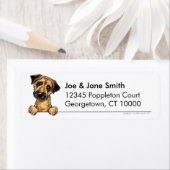 GRENZÜBERSCHREITUNG (Insitu)