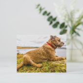 Grenzverschleißender Ölmalteeffekt auf gedruckter  Postkarte (Stehend Vorderseite)