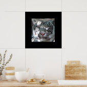 Grenzweiße Tiger-Portrait Poster (Küche)