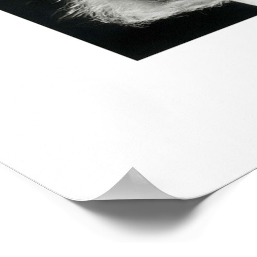 Greta Garbo Poster (Ecke)