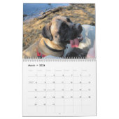 Greta Splendens: Absolut vielleicht der beste Hund Kalender (Mär 2026)