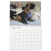 Greta Splendens: Absolut vielleicht der beste Hund Kalender (Feb 2026)