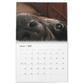 Greta Splendens: Absolut vielleicht der beste Hund Kalender (Mär 2027)