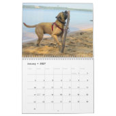 Greta Splendens: Absolut vielleicht der beste Hund Kalender (Jan 2027)