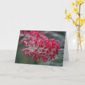 Grevillea-Blume Karte (Gelbe Blume)