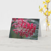 Grevillea-Blume Karte (Gelbe Blume)