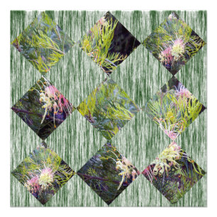 Grevillea: Die Diamantmuster der Natur umfassend, Fotodruck