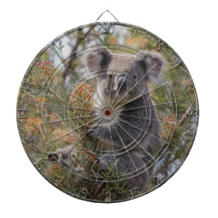 Grevillea Koala Bear, Dartscheibe