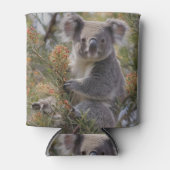 Grevillea Koala Bear, Dosenkühler (Vorderseite)