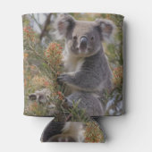 Grevillea Koala Bear, Dosenkühler (Rückseite)