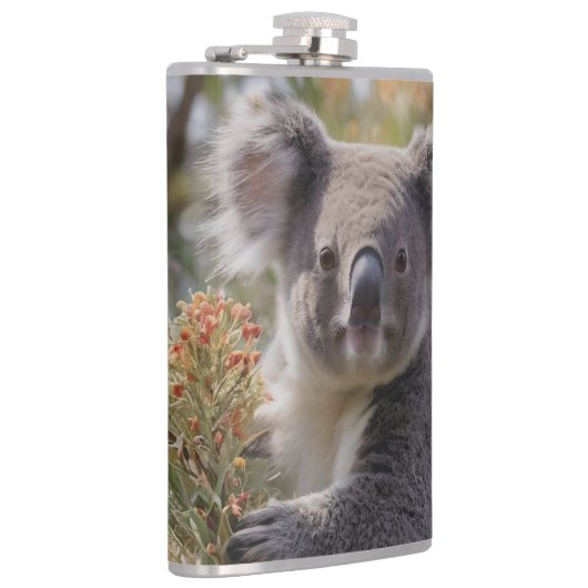 Grevillea Koala Bear, Flachmann (Rechts)