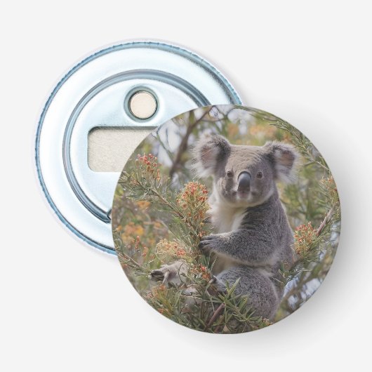 Grevillea Koala Bear, Flaschenöffner (Vorderseite)
