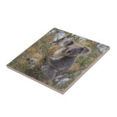 Grevillea Koala Bear, Fliese (Seite)