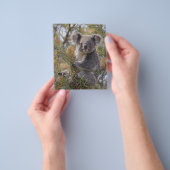 Grevillea Koala Bear, Flyer (Gruppe)