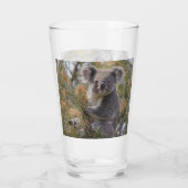 Grevillea Koala Bear, Glas (Rückseite)
