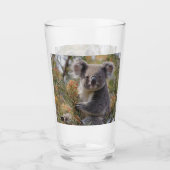 Grevillea Koala Bear, Glas (Vorderseite)