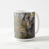 Grevillea Koala Bear, Kaffeetasse (VorderseiteRechts)