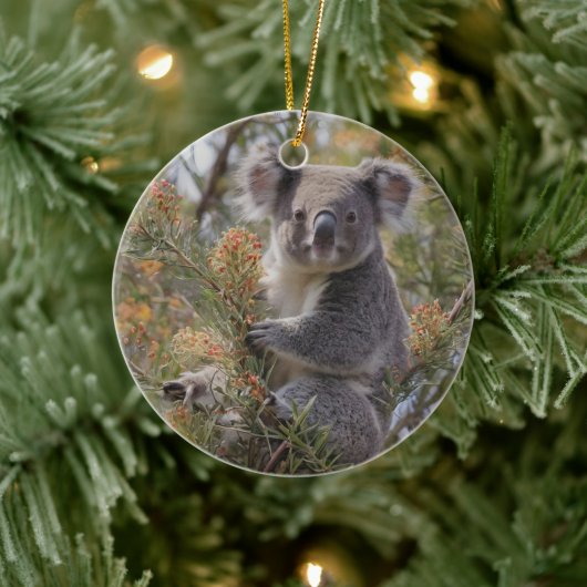 Grevillea Koala Bear, Keramik Ornament (Baum)
