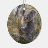 Grevillea Koala Bear, Keramik Ornament (Links)
